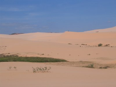 IMG_1422.jpg
