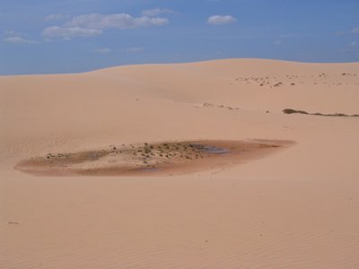 IMG_1423.jpg