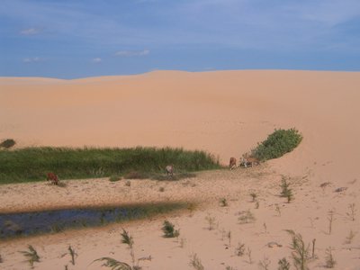 IMG_1424.jpg