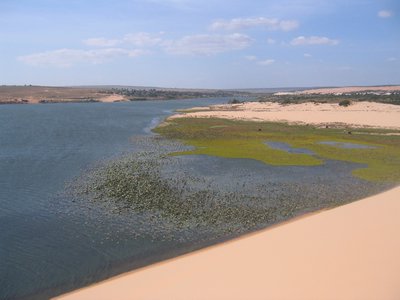 IMG_1427.jpg