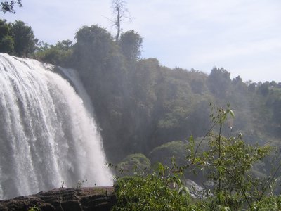 IMG_1478.jpg