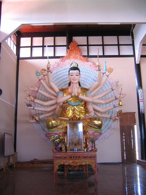 IMG_1486.jpg