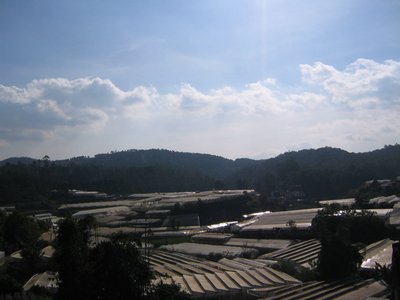 IMG_1497.jpg