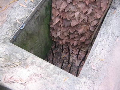 IMG_1518.jpg