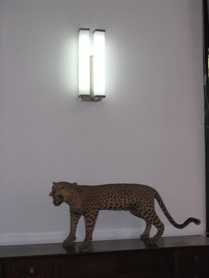 IMG_1534.jpg