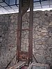 IMG_1347.jpg