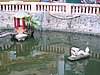 IMG_1359.jpg