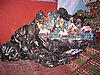 IMG_1376.jpg