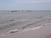 IMG_1378.jpg