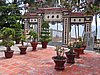 IMG_1383.jpg