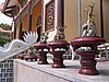 IMG_1385.jpg