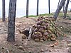 IMG_1391.jpg