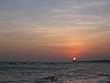 IMG_1393.jpg