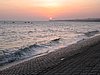 IMG_1395.jpg