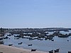 IMG_1401.jpg