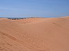 IMG_1408.jpg