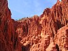 IMG_1413.jpg
