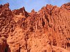 IMG_1414.jpg