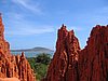 IMG_1415.jpg