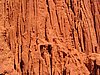 IMG_1416.jpg