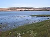 IMG_1420.jpg