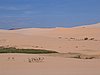 IMG_1422.jpg