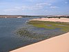 IMG_1427.jpg