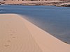 IMG_1429.jpg