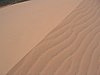 IMG_1431.jpg