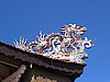 IMG_1451.jpg