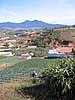 IMG_1455.jpg