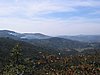 IMG_1460.jpg