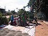 IMG_1462.jpg