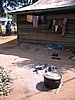 IMG_1464.jpg