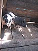 IMG_1465.jpg