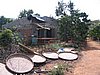 IMG_1469.jpg
