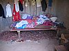 IMG_1471.jpg