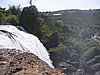 IMG_1475.jpg