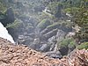 IMG_1476.jpg