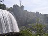 IMG_1478.jpg