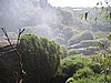 IMG_1479.jpg