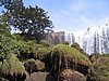IMG_1481.jpg