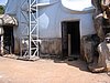 IMG_1485.jpg