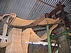 IMG_1494.jpg