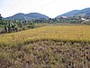 IMG_1496.jpg