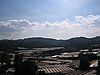 IMG_1497.jpg
