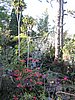 IMG_1500.jpg