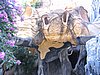 IMG_1503.jpg