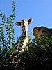 IMG_1506.jpg