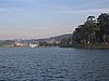 IMG_1509.jpg